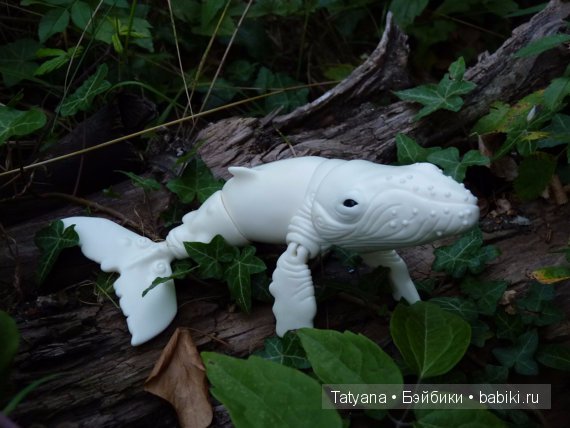 Tendres Chimeres продают кита