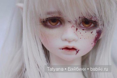 D.I.M Doll in Mind завершают продажу текущих молдов