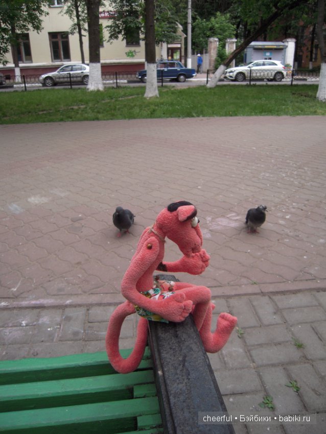 "Я катаюсь на слоне! Что, завидуете мне?" (фото 7)