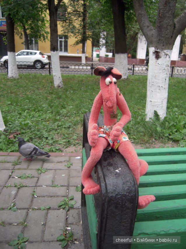"Я катаюсь на слоне! Что, завидуете мне?" (фото 3)