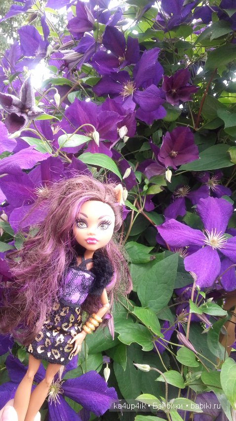 Монстряшки на прогулке — Куклы Monster High и Ever After High: G1