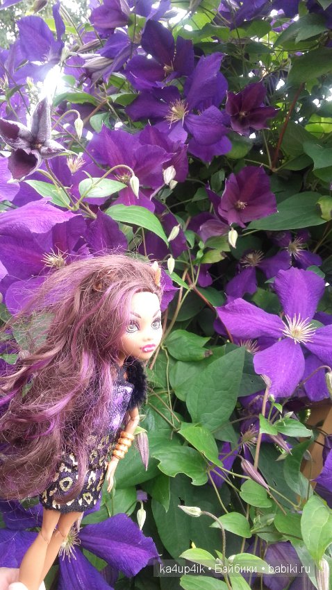 Монстряшки на прогулке — Куклы Monster High и Ever After High: G1