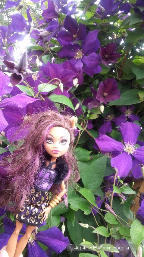 Монстряшки на прогулке — Куклы Monster High и Ever After High: G1