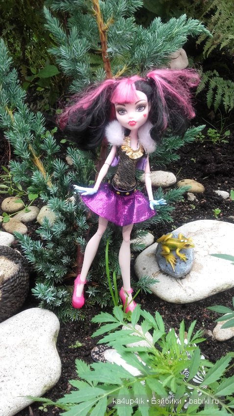 Монстряшки на прогулке — Куклы Monster High и Ever After High: G1