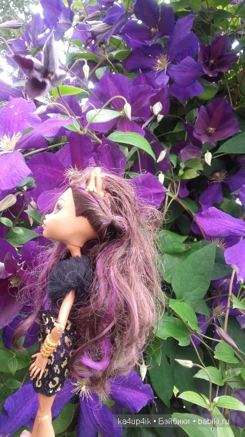 Монстряшки на прогулке — Куклы Monster High и Ever After High: G1