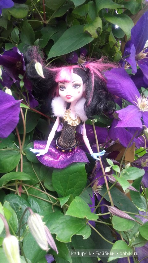 Монстряшки на прогулке — Куклы Monster High и Ever After High: G1