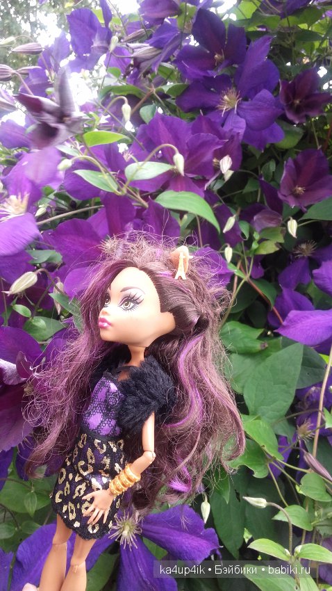 Монстряшки на прогулке — Куклы Monster High и Ever After High: G1