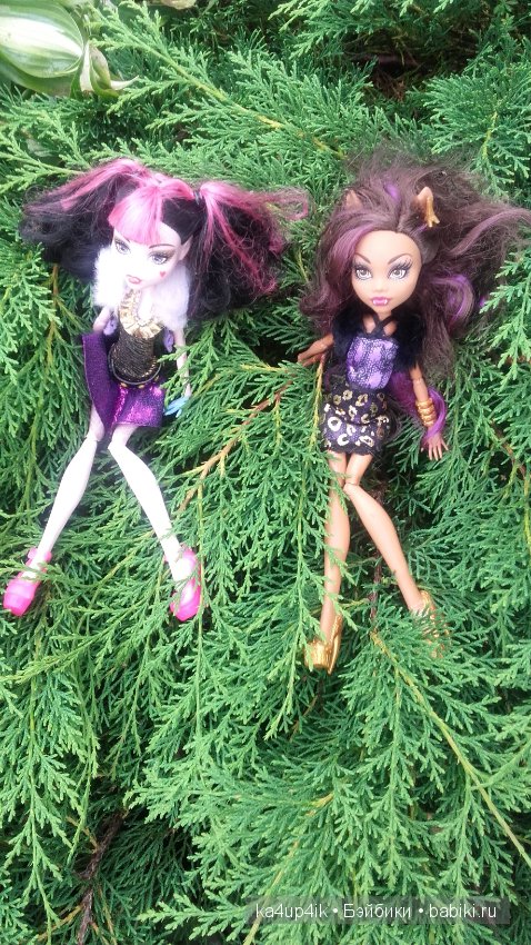 Монстряшки на прогулке — Куклы Monster High и Ever After High: G1