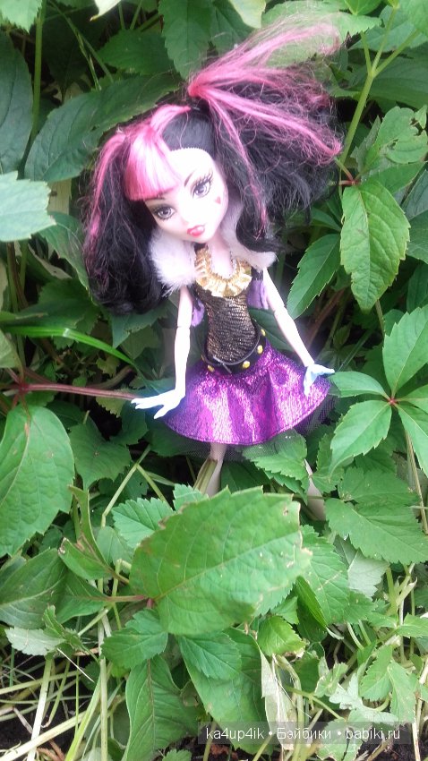 Монстряшки на прогулке — Куклы Monster High и Ever After High: G1