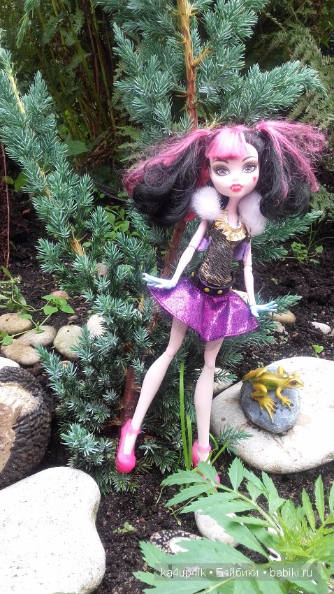 Монстряшки на прогулке — Куклы Monster High и Ever After High: G1