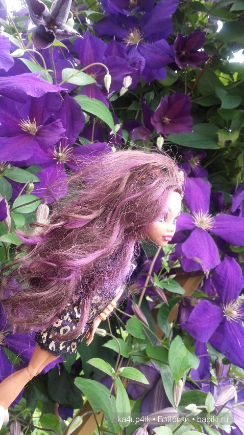 Монстряшки на прогулке — Куклы Monster High и Ever After High: G1