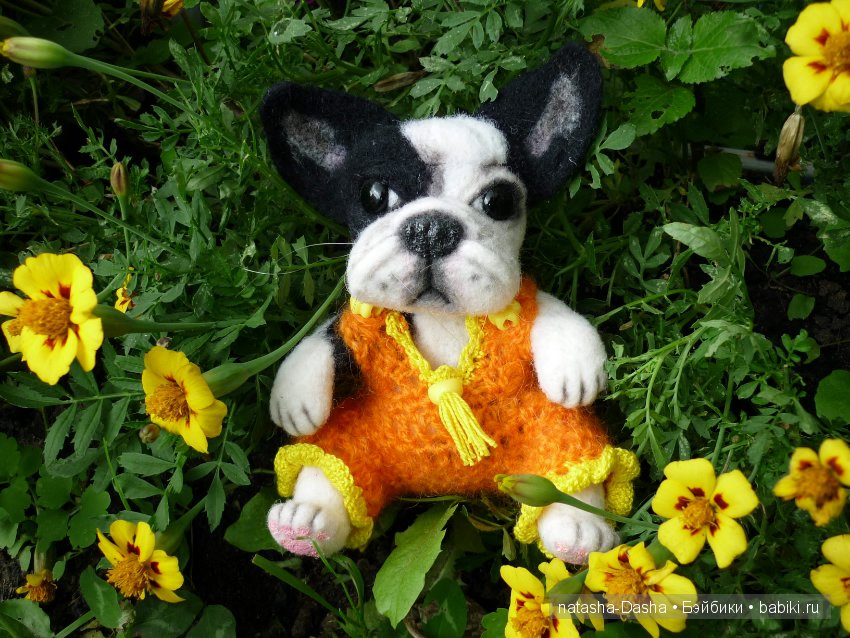 Бульдожка. Валяние из шерсти