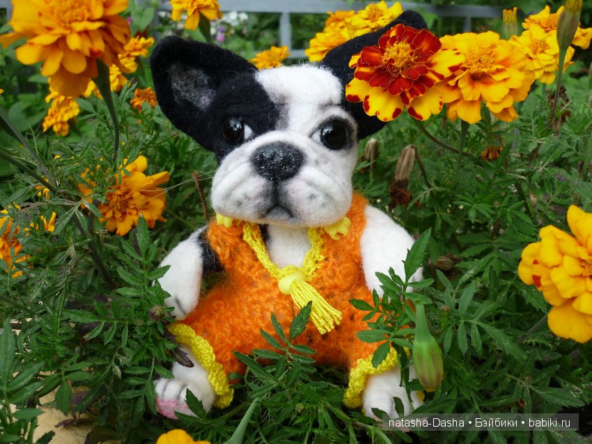 Бульдожка. Валяние из шерсти (фото 4)