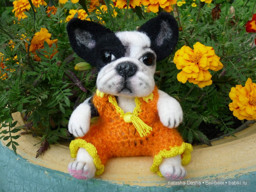 Бульдожка. Валяние из шерсти (фото 3)