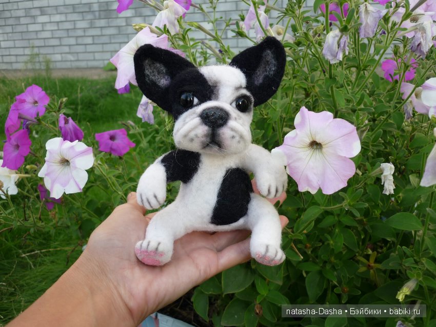 Бульдожка. Валяние из шерсти (фото 10)