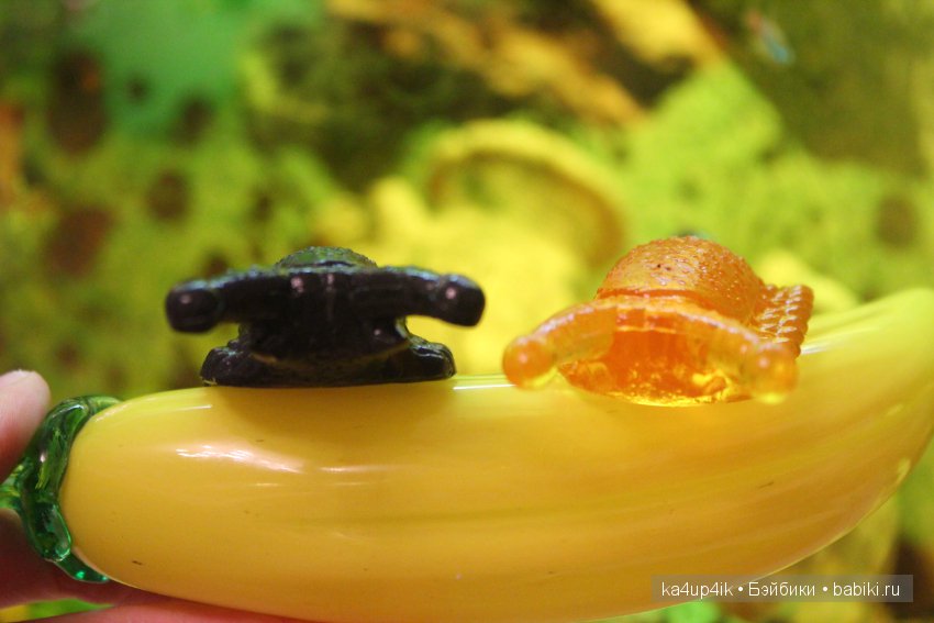 Пушистики — Интересные игрушки и фигурки (разное): редкие