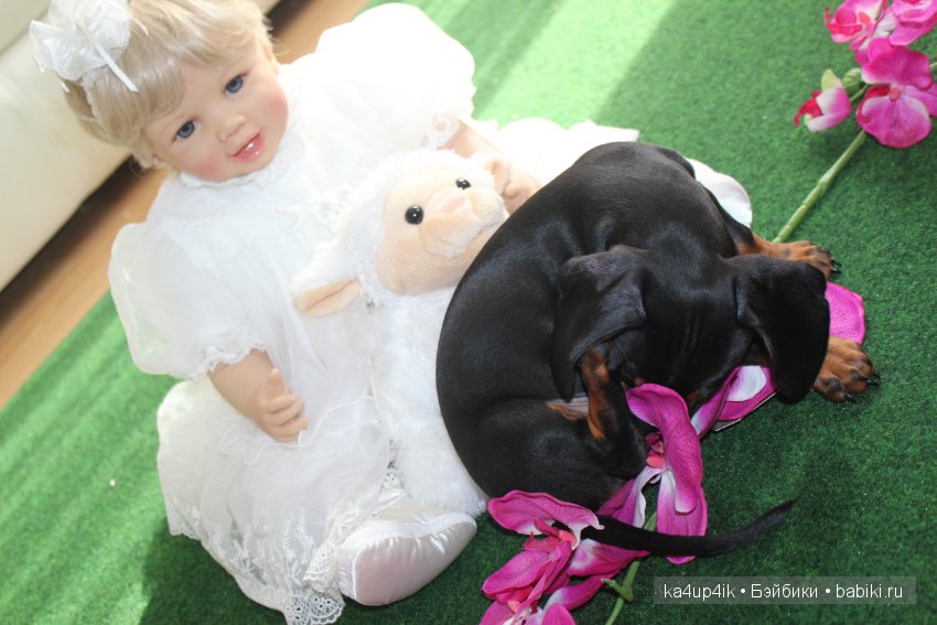 4 сестрички — Куклы Doris Stannat (Дорис Штаннат): силикон