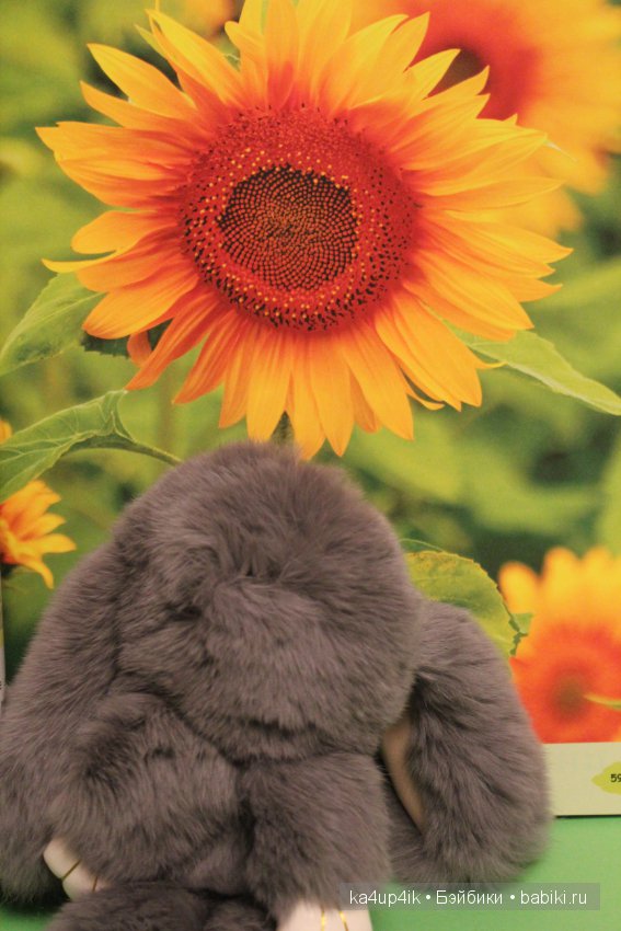 Пушистики — Интересные игрушки и фигурки (разное): редкие