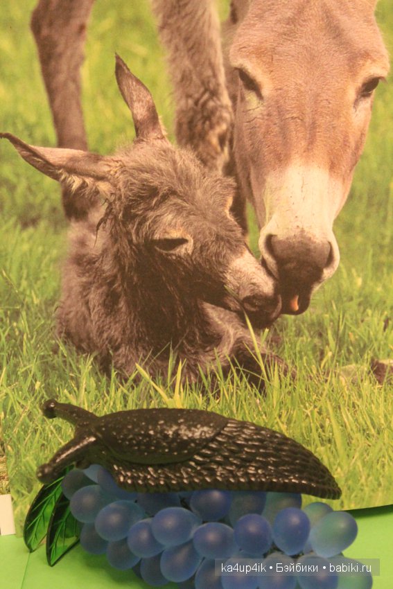 Пушистики — Интересные игрушки и фигурки (разное): редкие (фото 4)