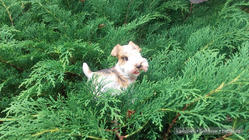 Мои собачки — Интересные игрушки и фигурки (разное): редкие