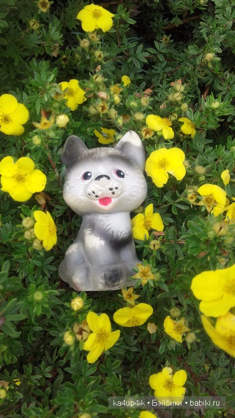 Мои собачки — Интересные игрушки и фигурки (разное): редкие