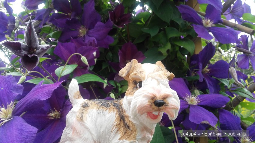 Мои собачки — Интересные игрушки и фигурки (разное): редкие