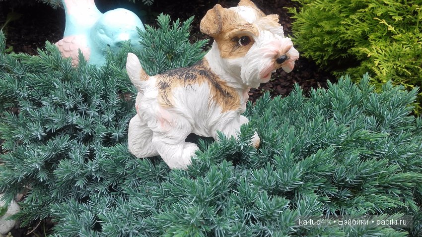 Мои собачки — Интересные игрушки и фигурки (разное): редкие