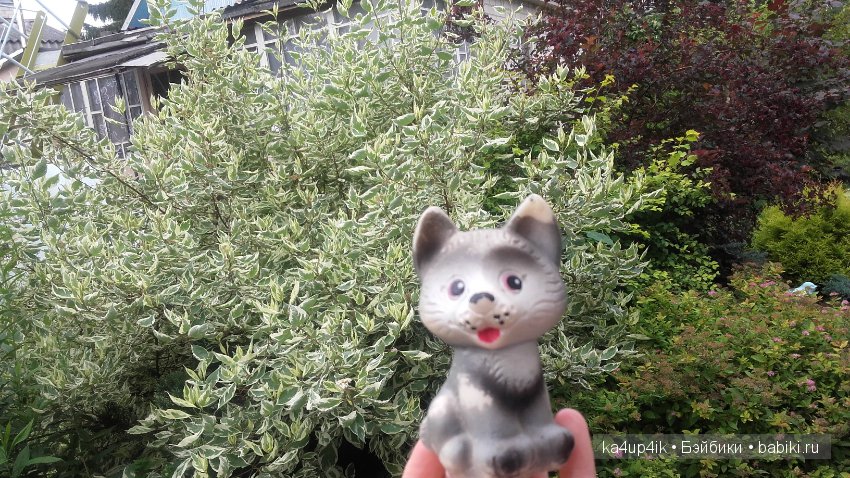 Мои собачки — Интересные игрушки и фигурки (разное): редкие