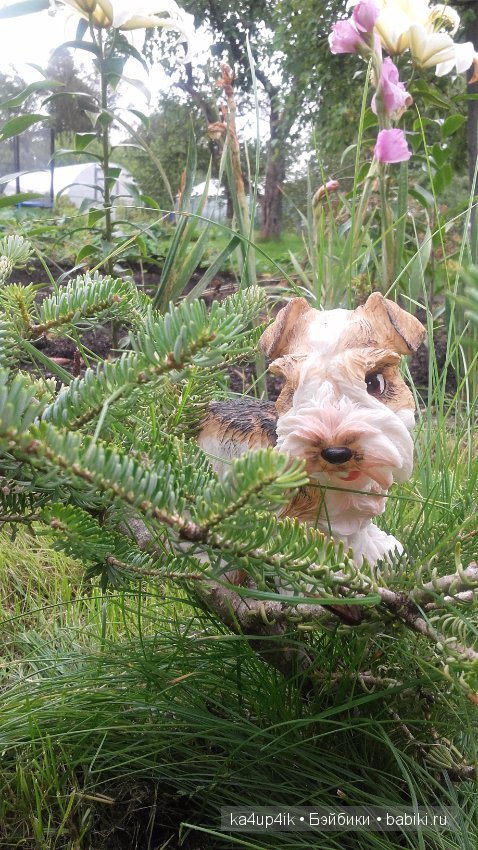 Мои собачки — Интересные игрушки и фигурки (разное): редкие