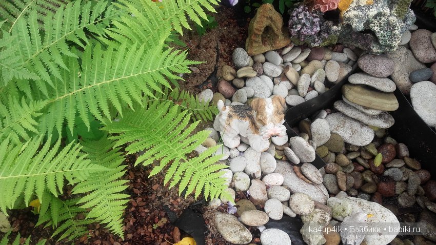 Мои собачки — Интересные игрушки и фигурки (разное): редкие