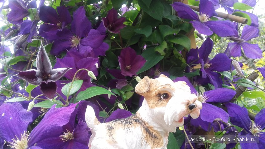 Мои собачки — Интересные игрушки и фигурки (разное): редкие