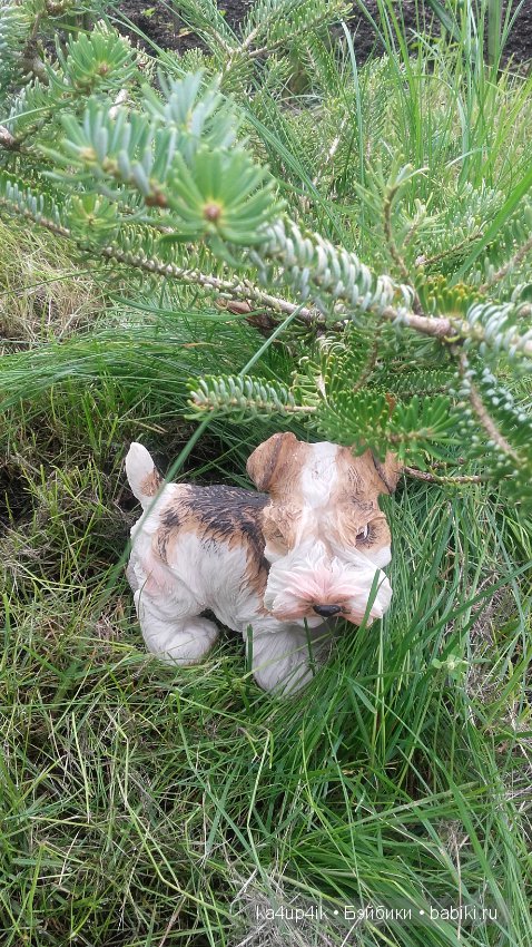 Мои собачки — Интересные игрушки и фигурки (разное): редкие