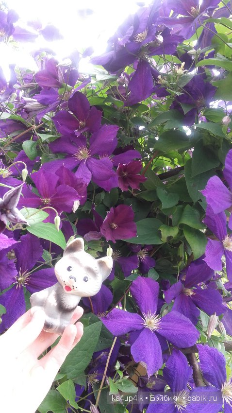 Мои собачки — Интересные игрушки и фигурки (разное): редкие