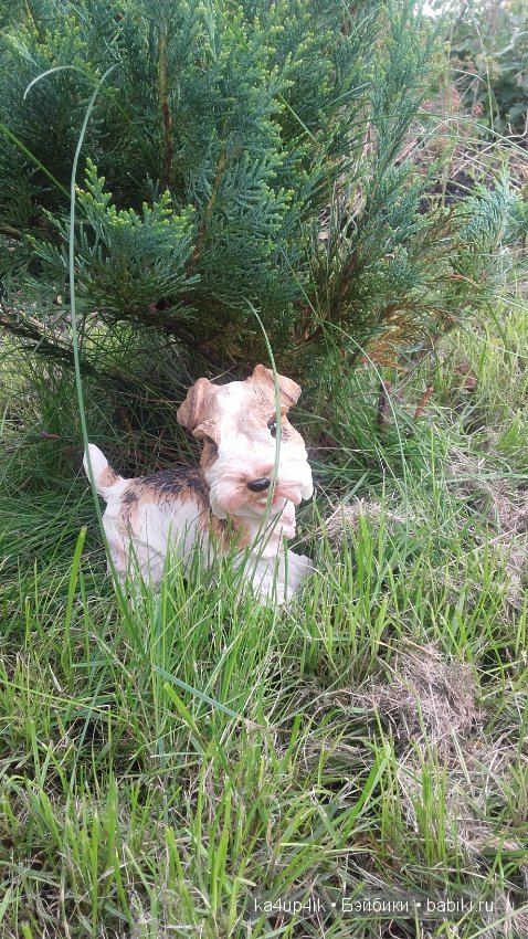 Мои собачки — Интересные игрушки и фигурки (разное): редкие