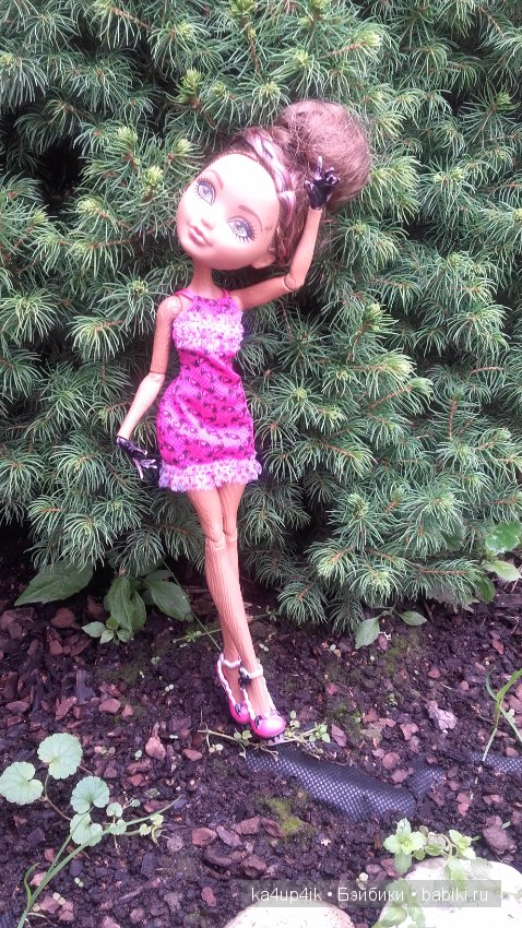 Афтер Хай гуляет — Куклы Monster High и Ever After High: G1 (фото 4)