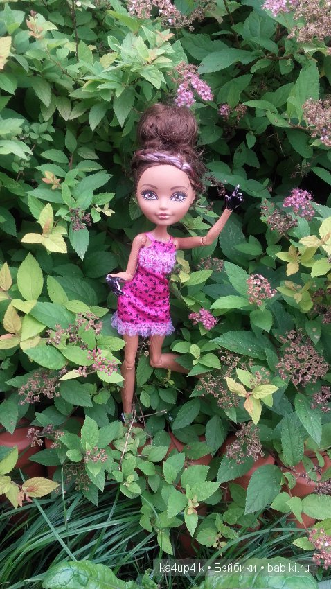 Афтер Хай гуляет — Куклы Monster High и Ever After High: G1 (фото 10)