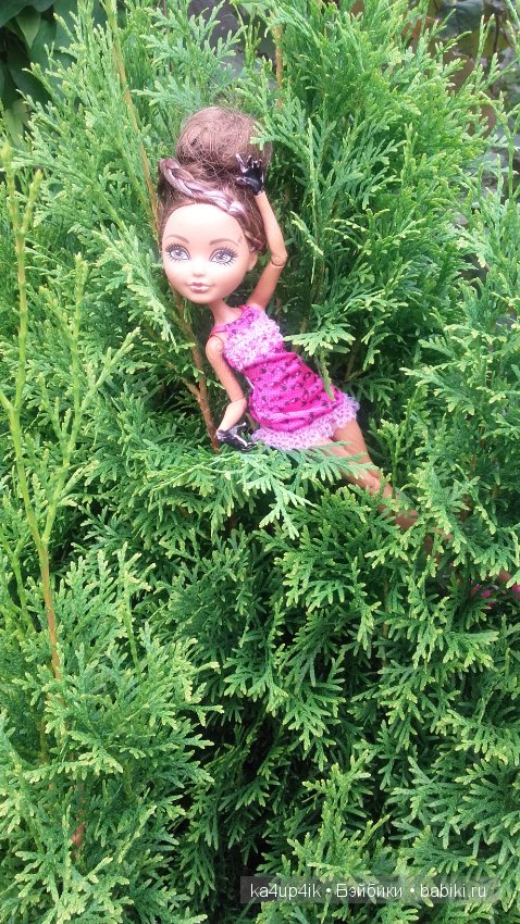 Афтер Хай гуляет — Куклы Monster High и Ever After High: G1 (фото 5)