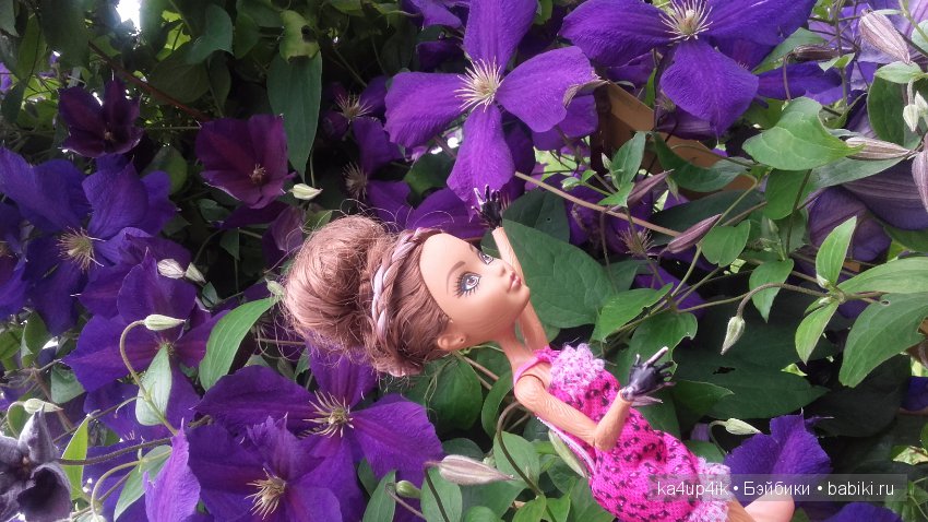 Афтер Хай гуляет — Куклы Monster High и Ever After High: G1