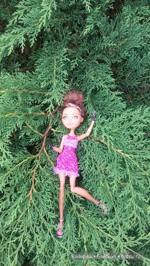 Афтер Хай гуляет — Куклы Monster High и Ever After High: G1 (фото 7)