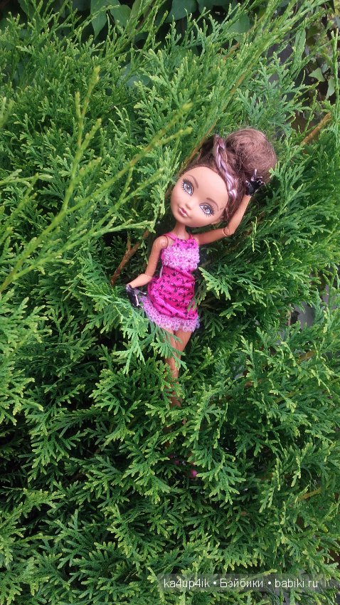 Афтер Хай гуляет — Куклы Monster High и Ever After High: G1 (фото 6)