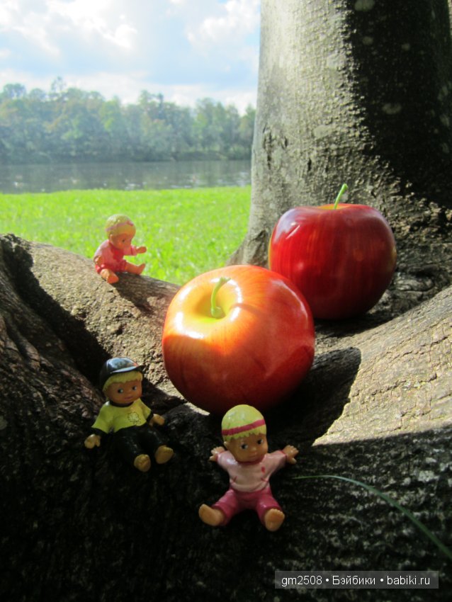 Прогулки по парку в конце лета (фото 8)