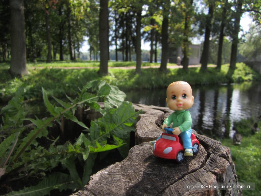 Прогулки по парку в конце лета (фото 10)