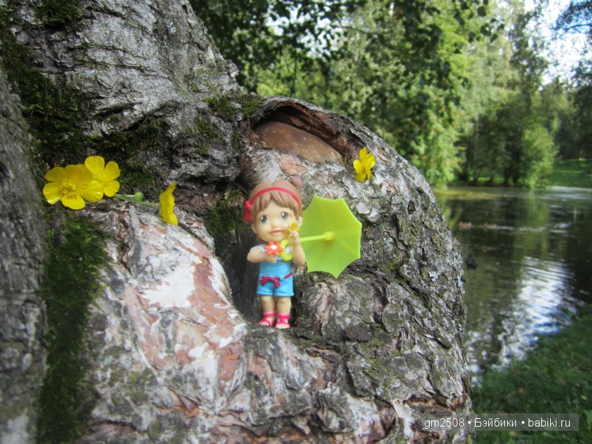 Прогулки по парку в конце лета (фото 3)