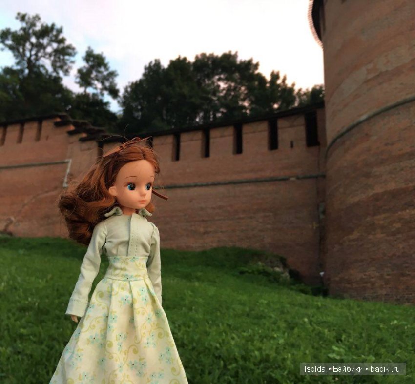 Японская Ликка Takara в Нижнем Новгороде (фото 2)