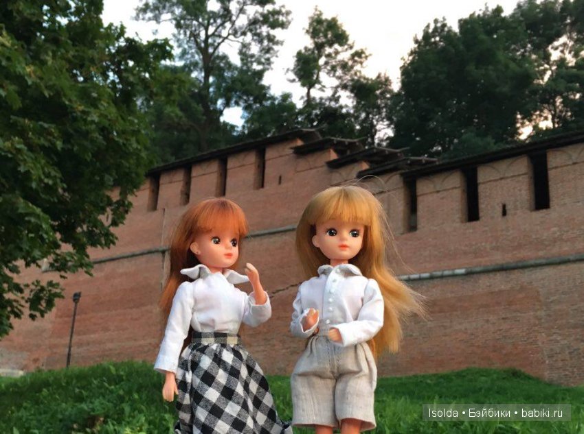 Японская Ликка Takara в Нижнем Новгороде (фото 3)