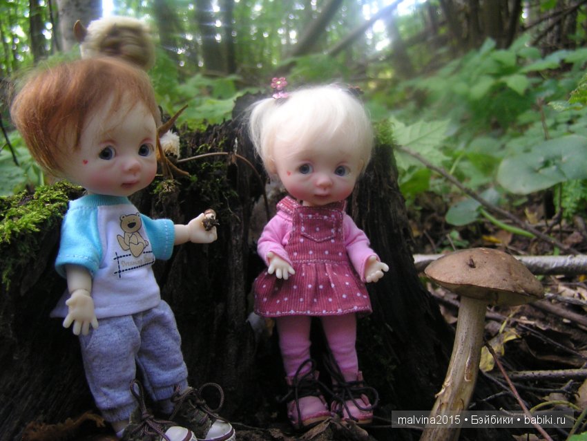 Как мы в лес за приключениями ходили