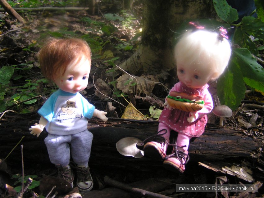 Как мы в лес за приключениями ходили