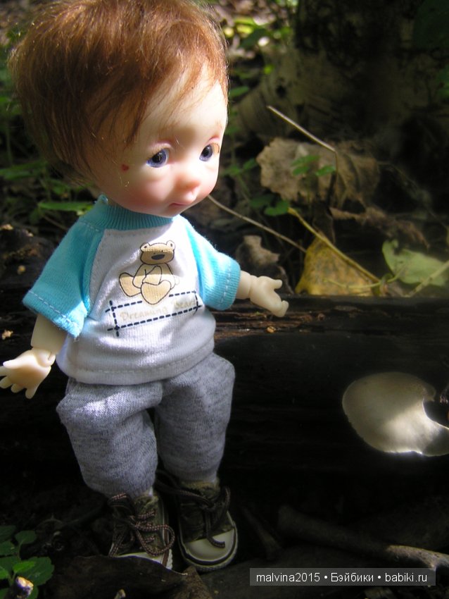 Как мы в лес за приключениями ходили