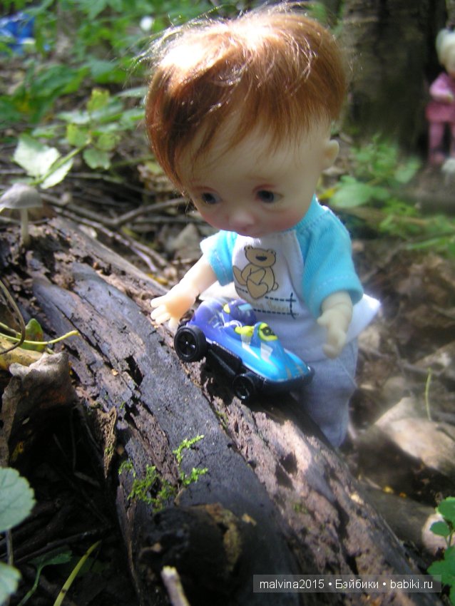 Как мы в лес за приключениями ходили