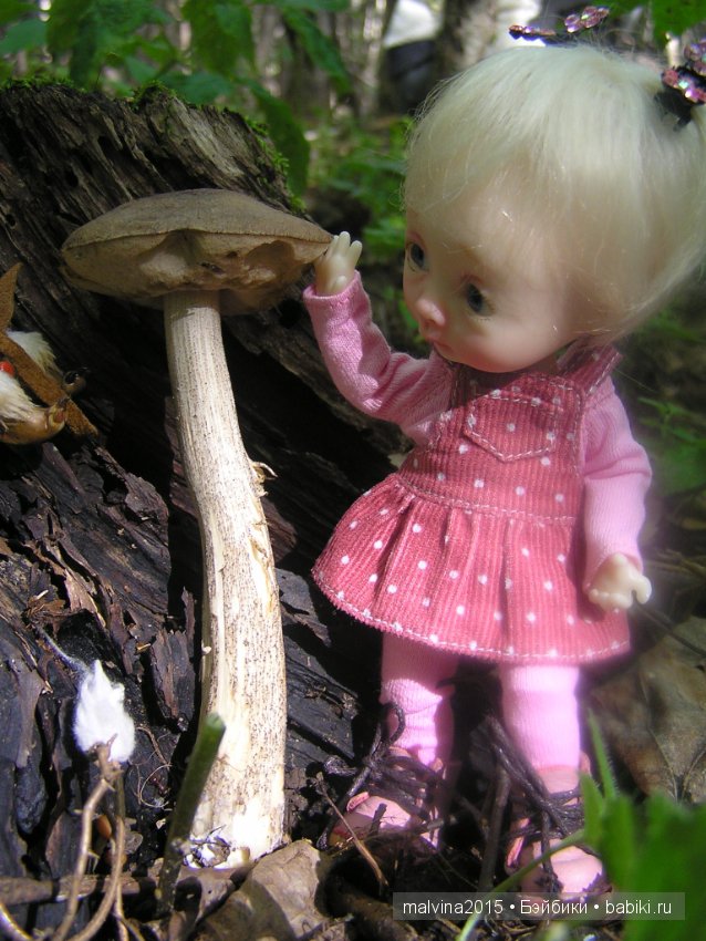 Как мы в лес за приключениями ходили (фото 7)